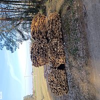 zdjecie ogloszenia