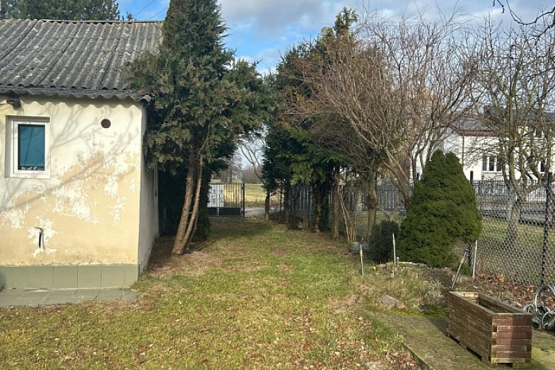 zdjecie ogloszenia