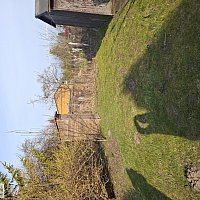 zdjecie ogloszenia