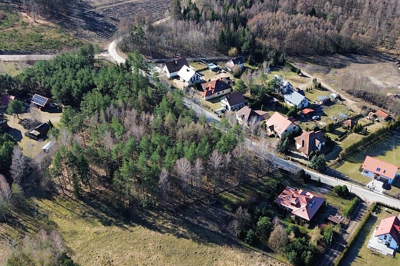 zdjecie ogloszenia