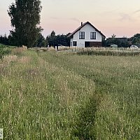 zdjecie ogloszenia
