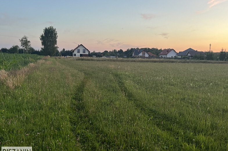 zdjecie ogloszenia