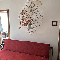 zdjecie ogloszenia