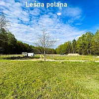 zdjecie ogloszenia