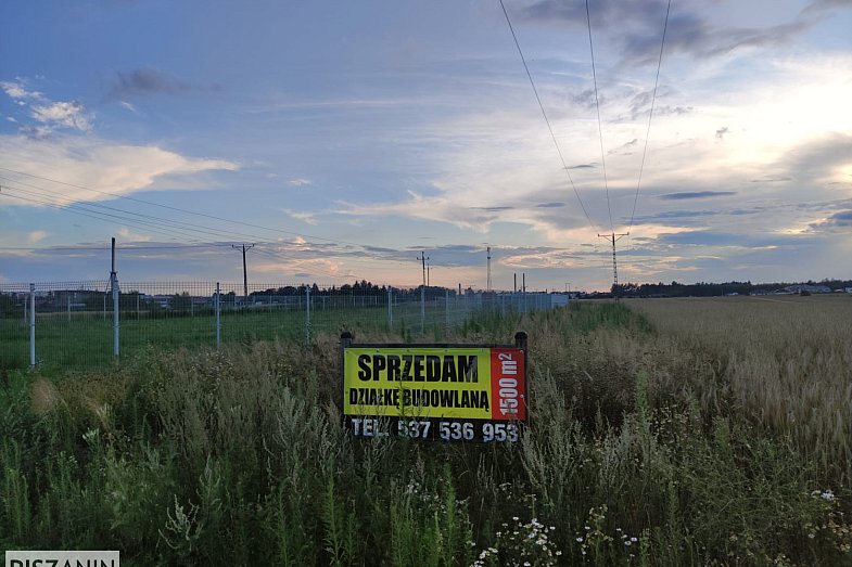zdjecie ogloszenia