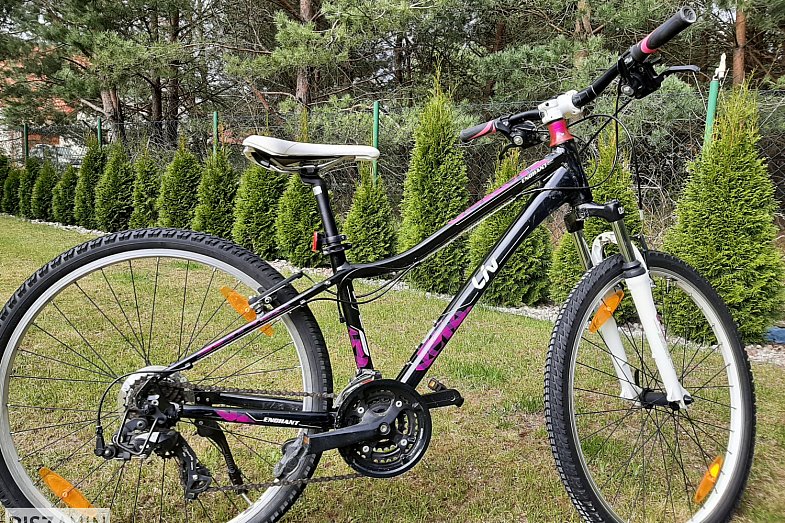 zdjecie ogloszenia