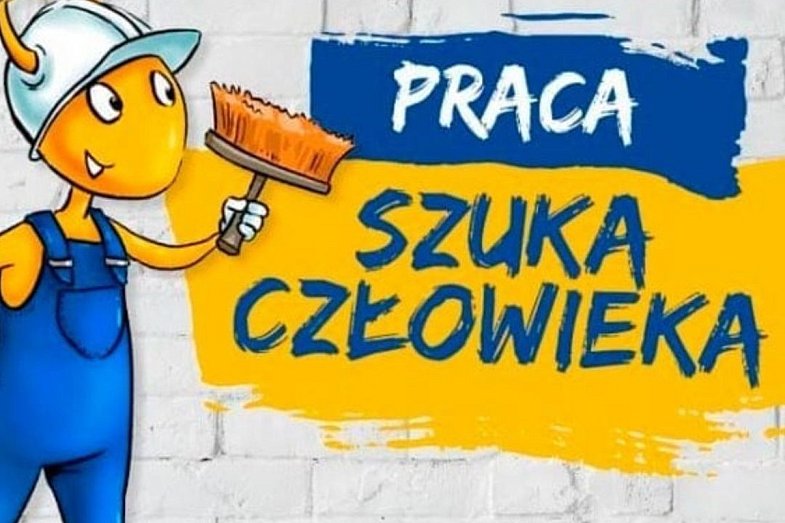 zdjecie ogloszenia