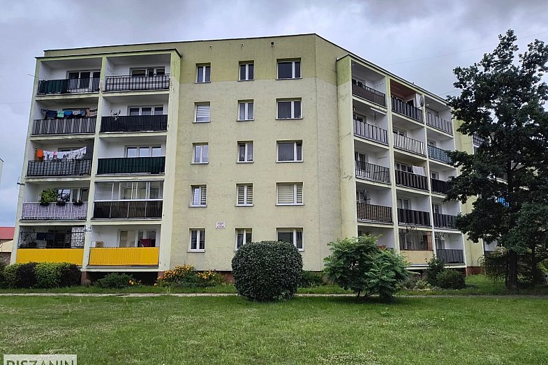 zdjecie ogloszenia