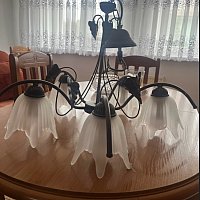 zdjecie ogloszenia