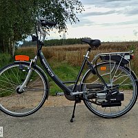 zdjecie ogloszenia