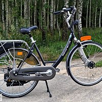 zdjecie ogloszenia