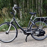 zdjecie ogloszenia