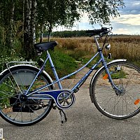 zdjecie ogloszenia
