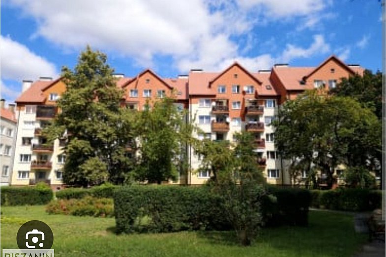 zdjecie ogloszenia