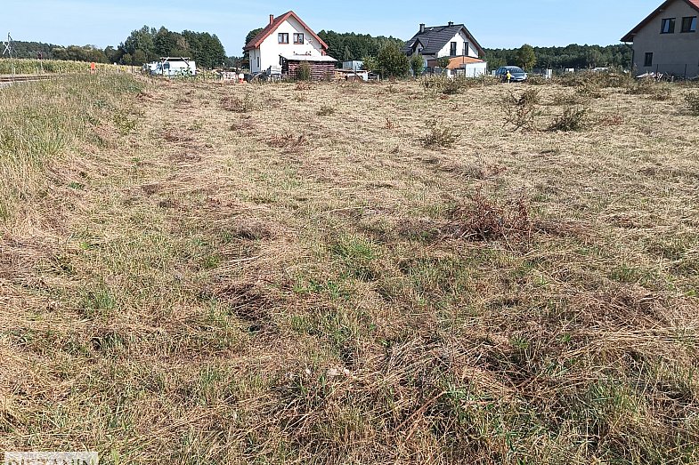 zdjecie ogloszenia