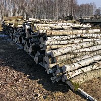 zdjecie ogloszenia