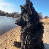 zdjecie ogloszenia