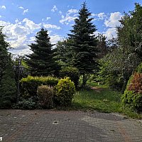 zdjecie ogloszenia