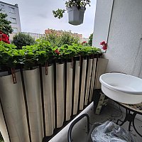 zdjecie ogloszenia