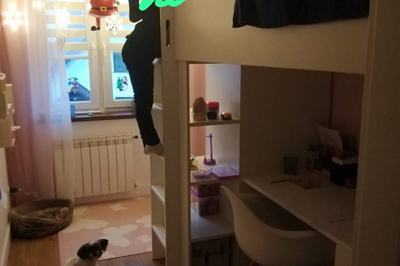 zdjecie ogloszenia