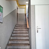 zdjecie ogloszenia