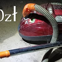 zdjecie ogloszenia