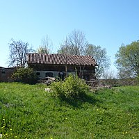 zdjecie ogloszenia