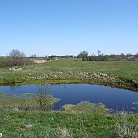 zdjecie ogloszenia
