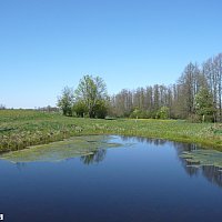 zdjecie ogloszenia