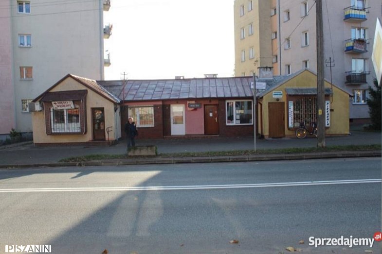 zdjecie ogloszenia