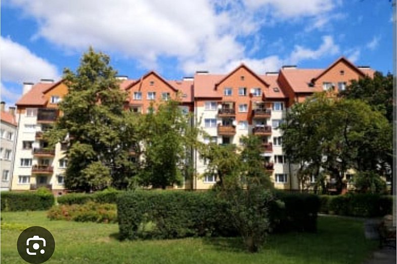 zdjecie ogloszenia
