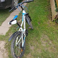 zdjecie ogloszenia