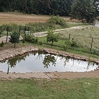 zdjecie ogloszenia