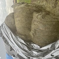 zdjecie ogloszenia