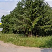 zdjecie ogloszenia