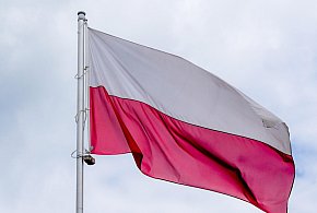 Godło i flaga mogą wyglądać inaczej. Ruszyły prace nad symbolami państwowymi-242267