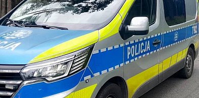 Znalazł wieniec jelenia i wrzucił go do bagażnika. Odpowie za kradzież-241943