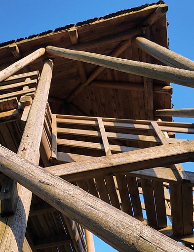 Kociołek Szlechecki domaga się remontu wieży widokowej-241460