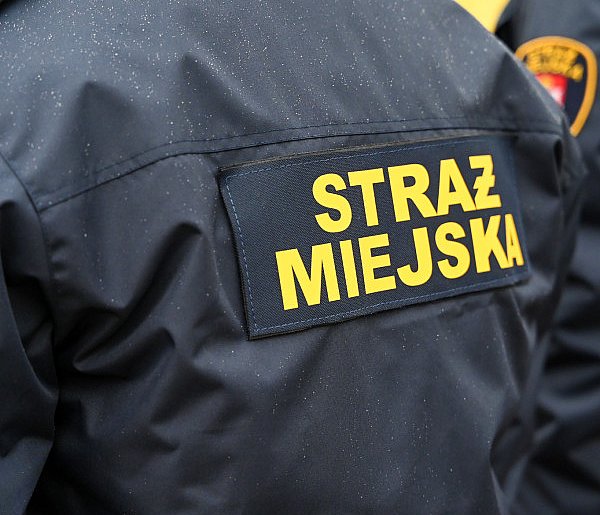 Zapuka strażnik, zapłacisz karę. Ruszyły kontrole w całej Polsce-241754
