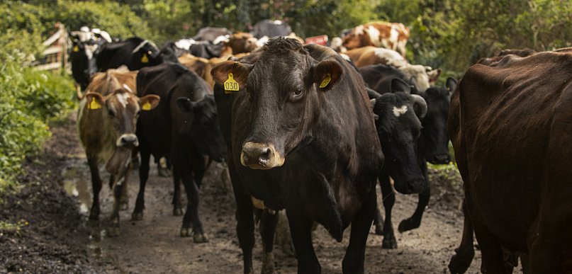 UE/ Państwa Unii zgodziły się na zawarcie umowy handlowej z Mercosurem