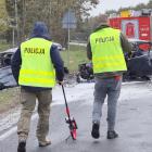 Fotka nr 1 z 3