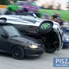 Fotka nr 5 z 25