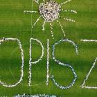 zdjęcie nr 33