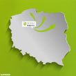 zdjęcie nr 