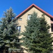 zdjęcie nr 
