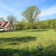 zdjęcie nr 