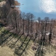 zdjęcie nr 