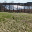 zdjęcie nr 