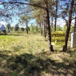 zdjęcie nr 