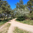 zdjęcie nr 